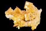 Wulfenite Crystal Cluster - La Morita Mine, Mexico #149983-3